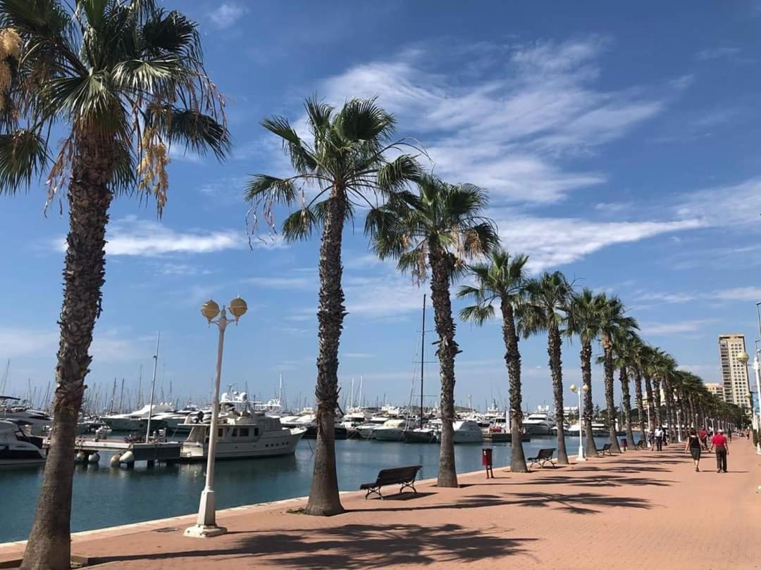 Casaturis Estudio Vistas Increibles En Centro De Alicante A115 外观 照片